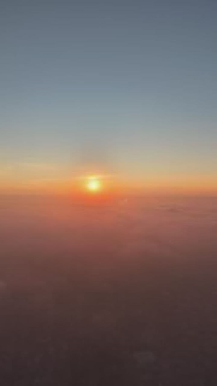 Princess in the Lion's Pride