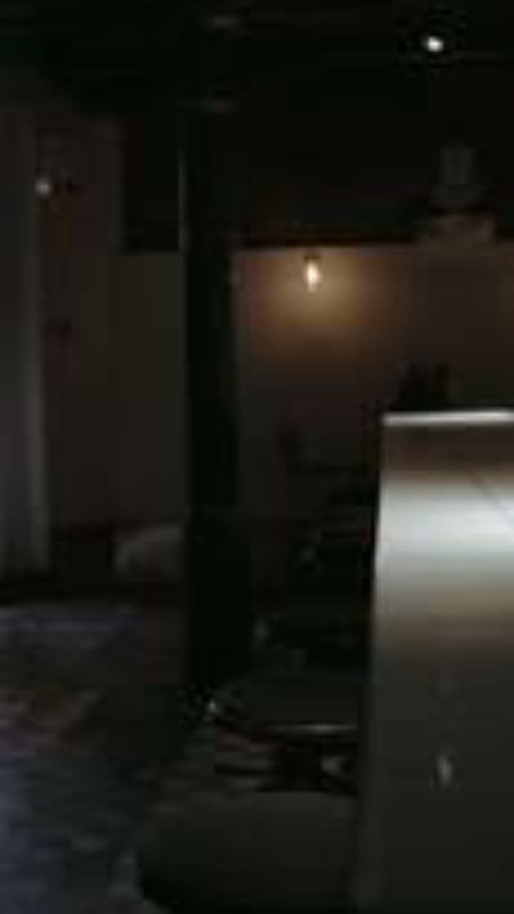 Das vier P: Wo die Nacht lebt