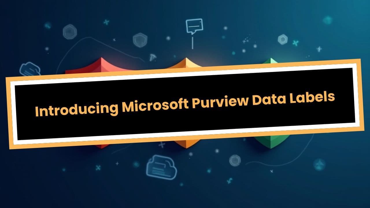 Introducing Microsoft Purview Data Labels