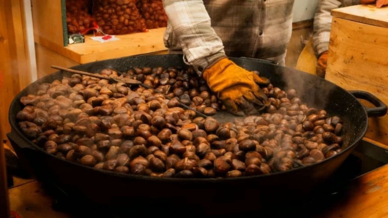 Image transform video