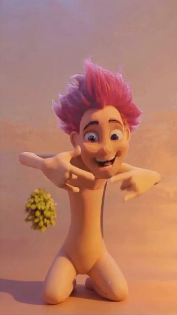 Image transform video