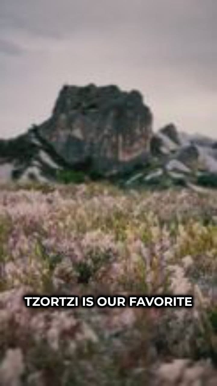 Pine Cone Ambush on Tzortzi