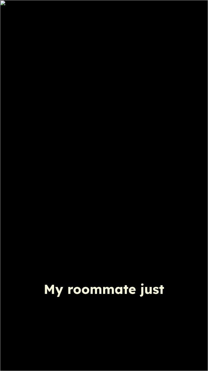 Bear Fight Negotiations at 2AM