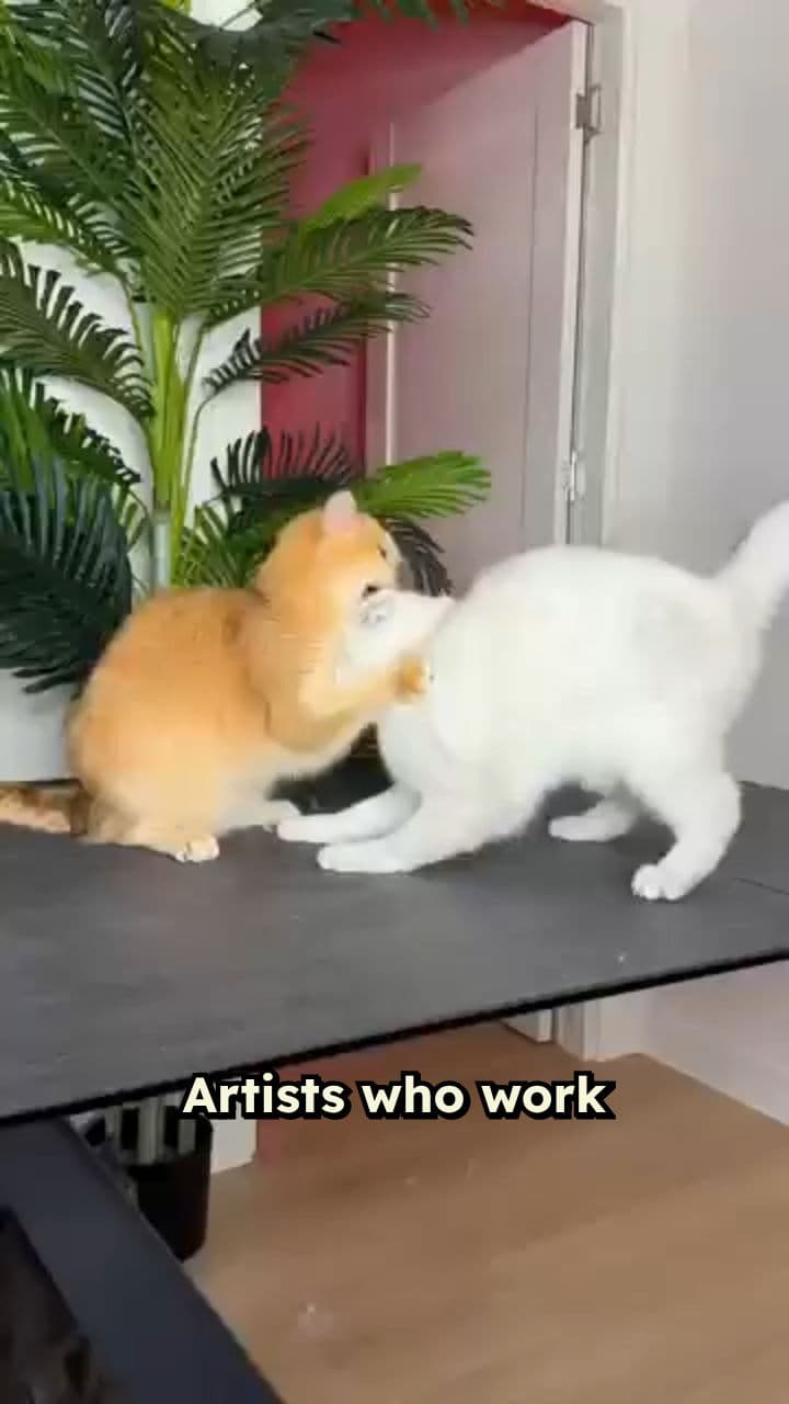 Embracing Chaos in Creativity