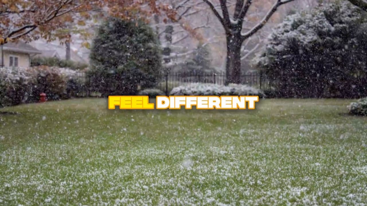 The Silent Shift of Awakening