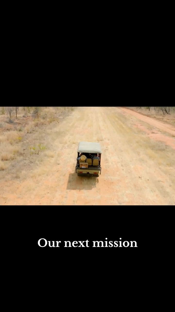 Rescuing Rhinos from a Helicopter