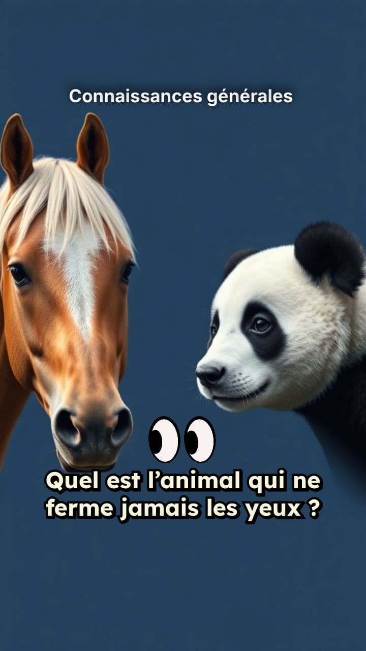 Connaissances générales 