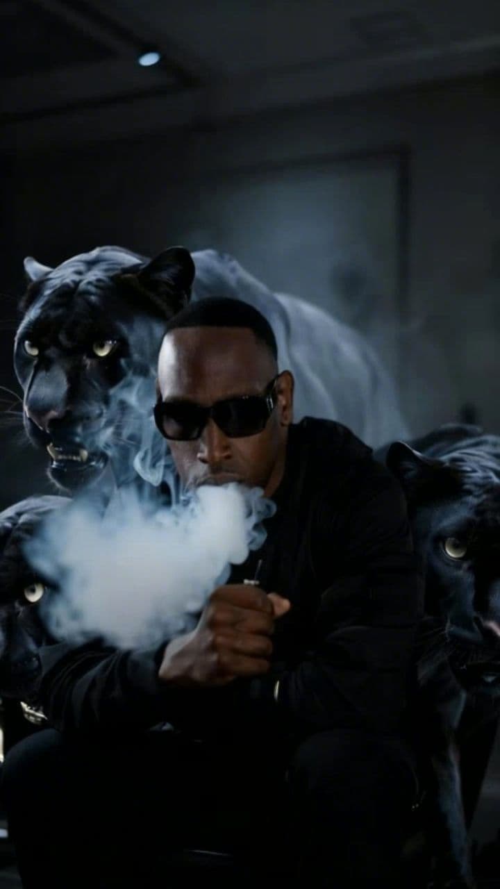 Image transform video