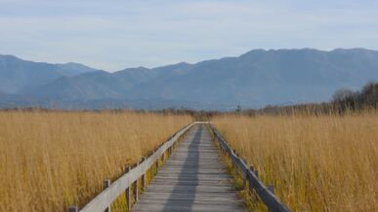 Desafíos y evolución de la democracia