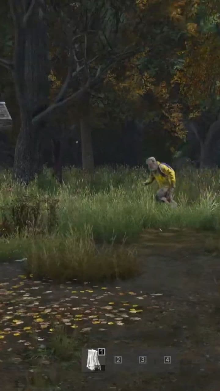 Survie et chaos en pleine action