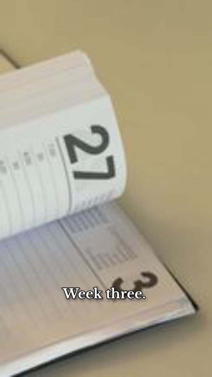 Week Three: Everything Became Urgent