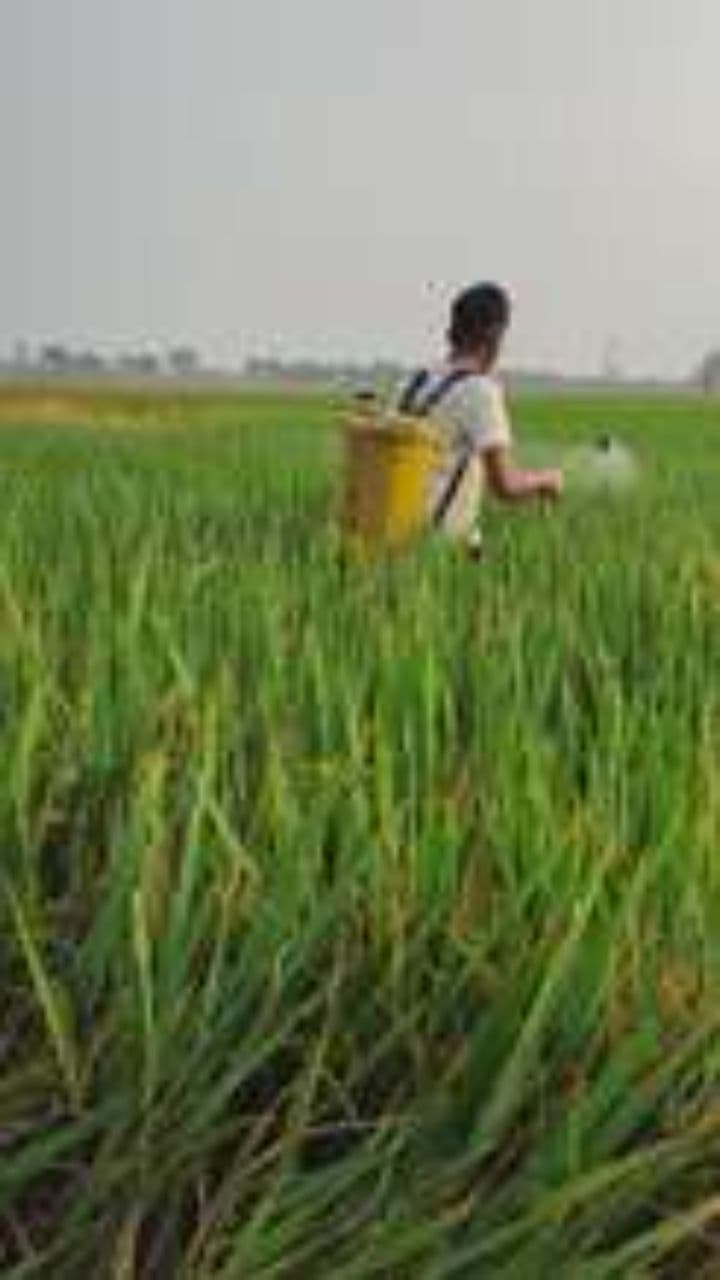 Poisoned Profits, Bitter Truth