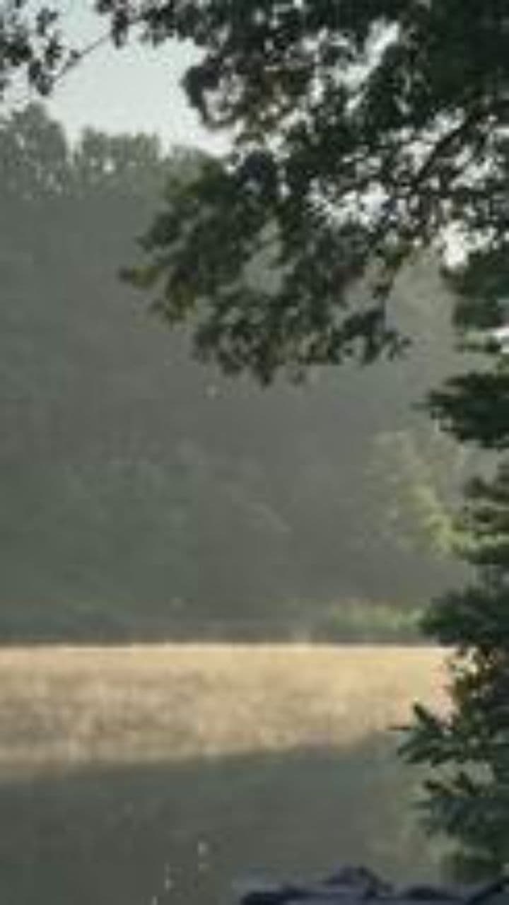 Tatapan di Jam Kerja