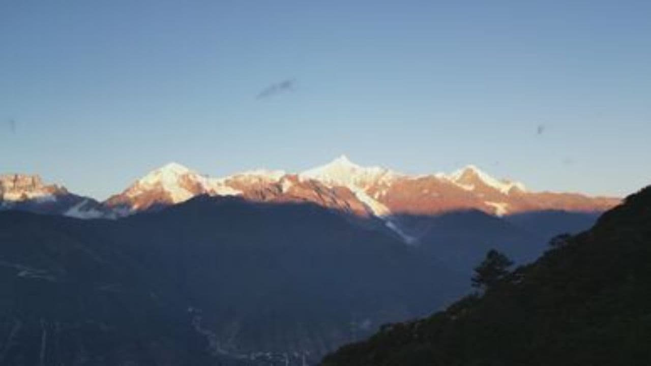 Quiet Heroes Light the Way