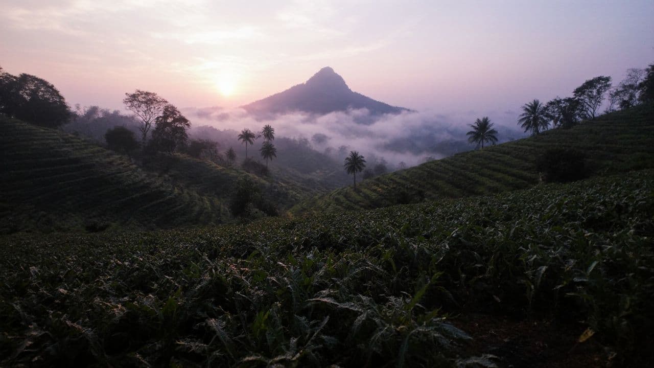 සුබ අලුත් අවුරුදු සුභ පැතුම්