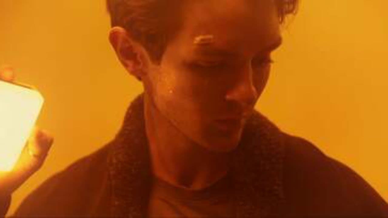 На полпути к мечте