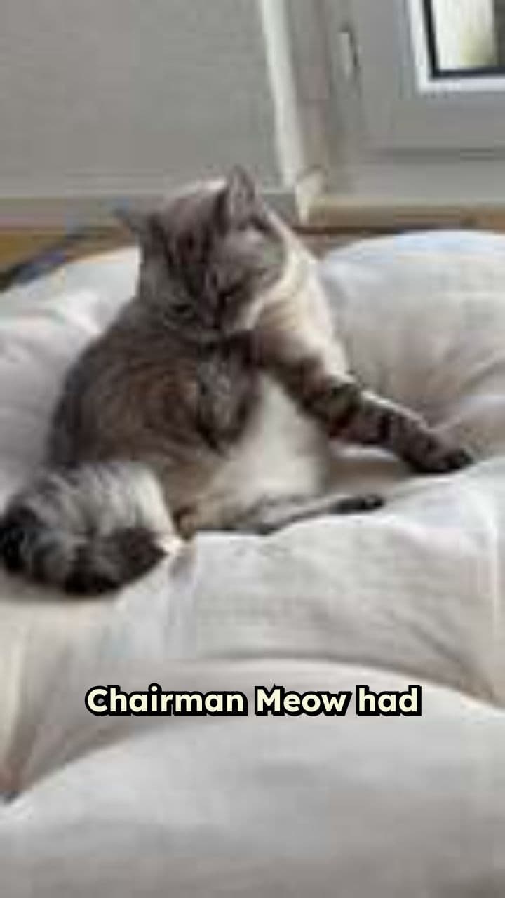 Cuteness Overthrows the Throne