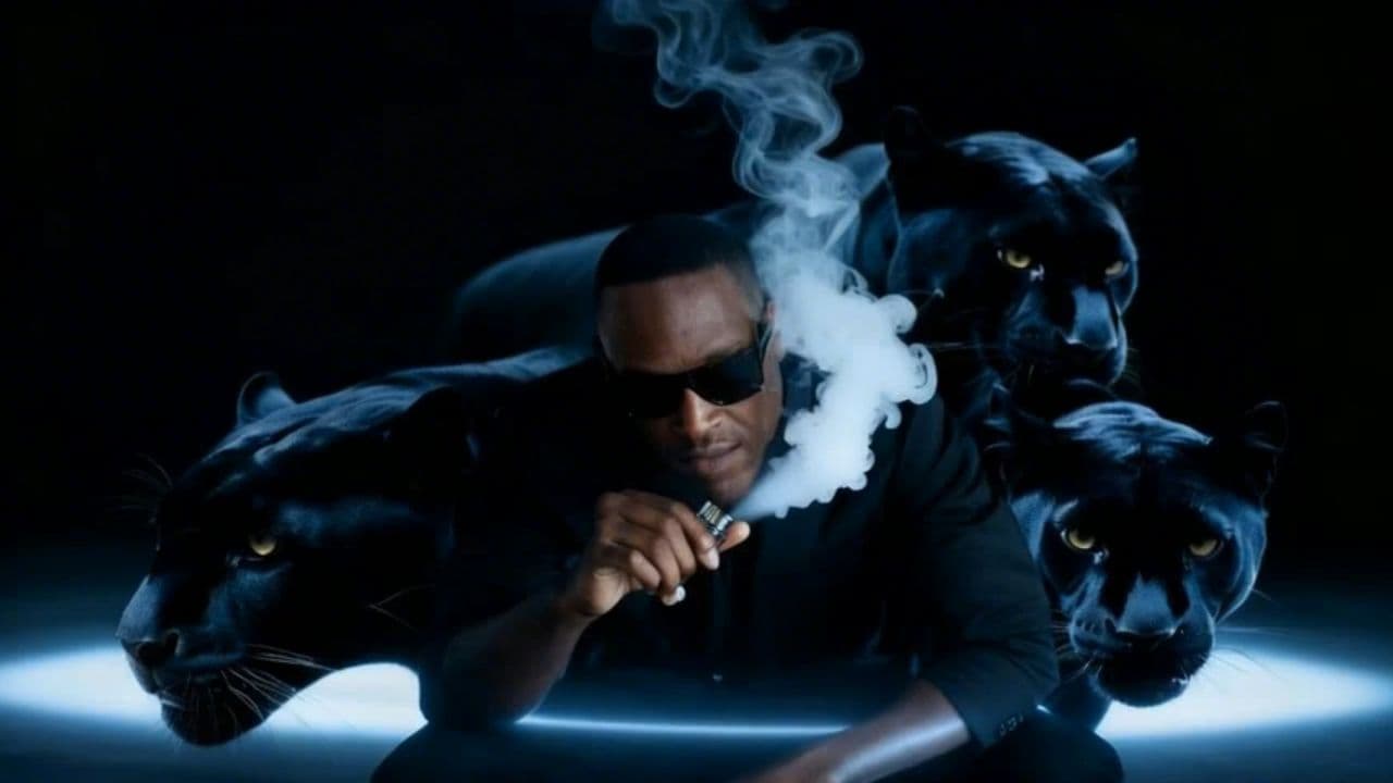 Image transform video