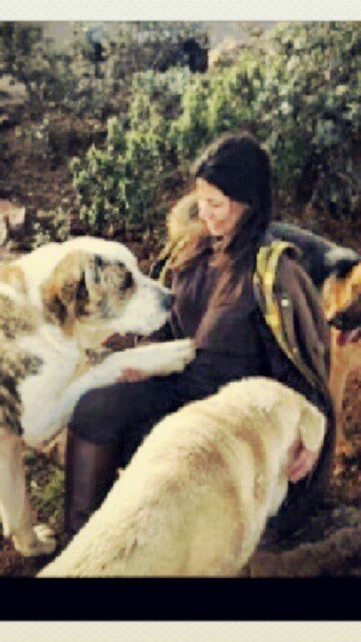 Living in the Gangsta's Paradise