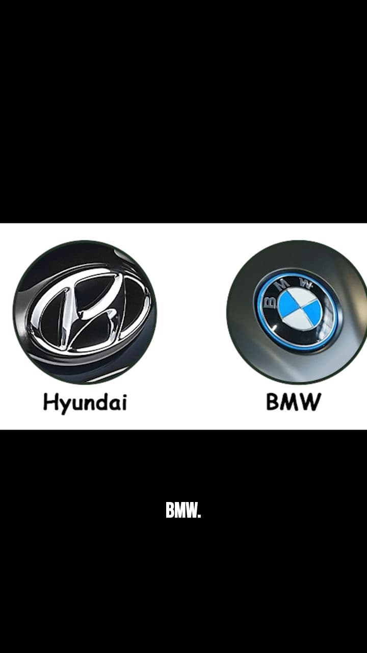 The Truth About BMW Drivers