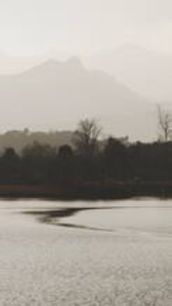 L'évidence de ma vérité