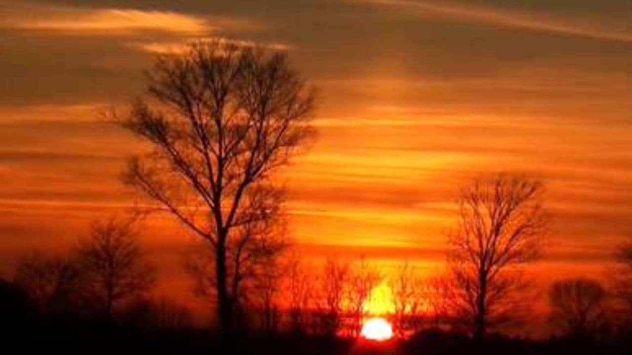 The Beauty of Sunsets: A Journey