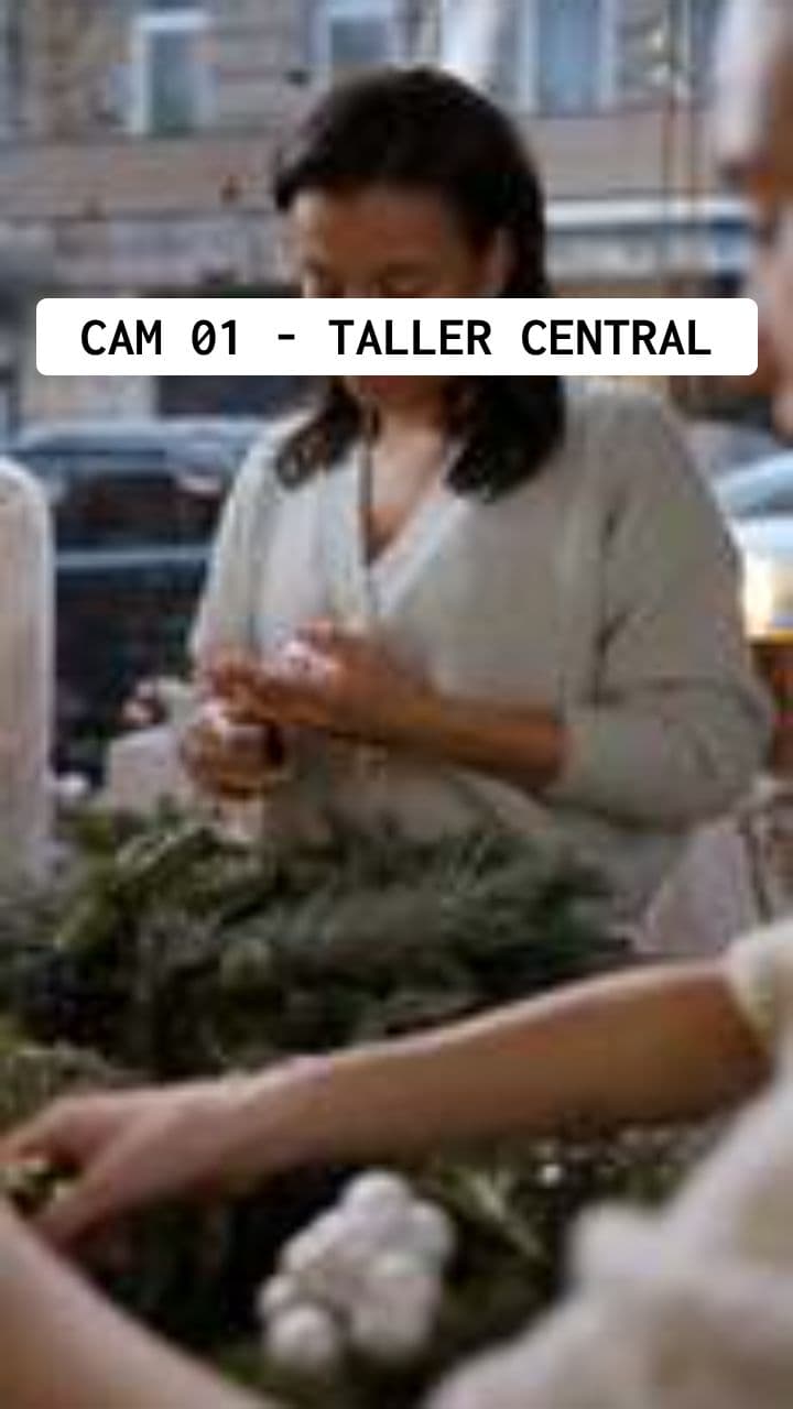 Vigilancia en el Taller de Papá Noel