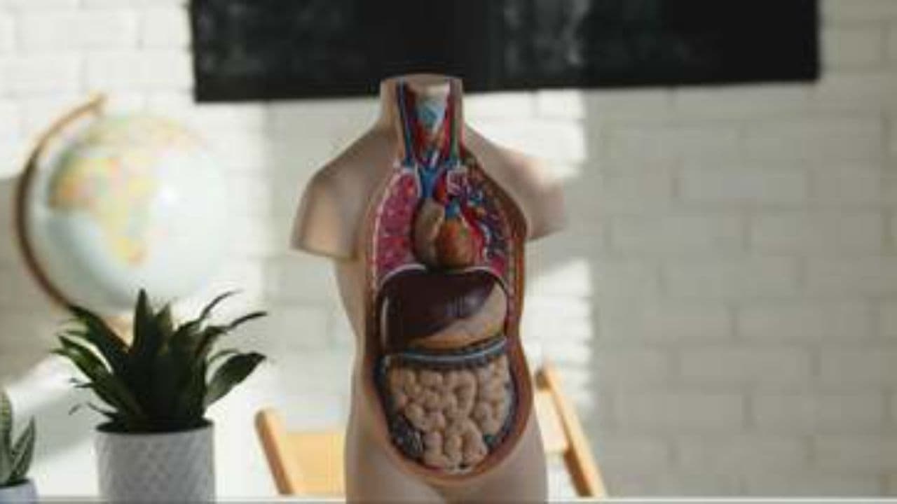 سرنخ‌های خاموش سیروز کبدی