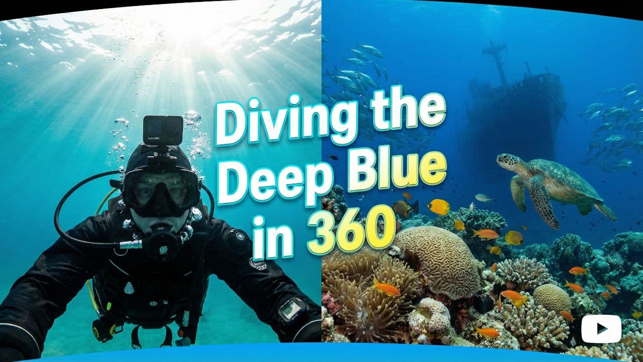 Diving the Deep Blue in 360