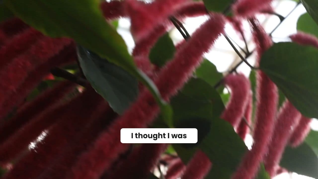 Unseen Shadows at the Wedding