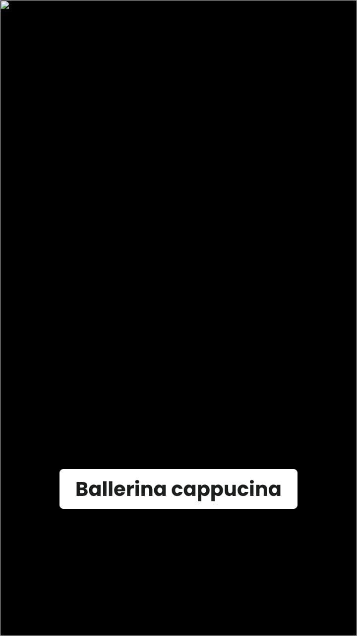 Ballerina Arrested in Bedroom Standoff