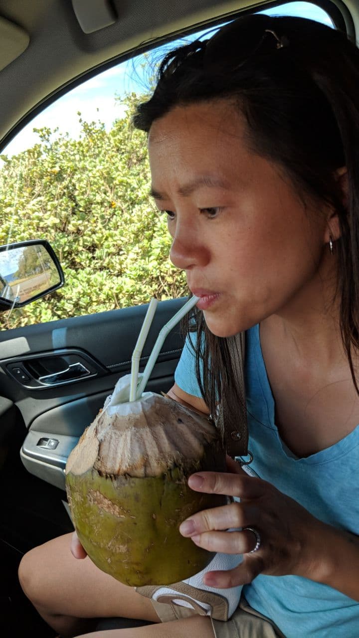 Oh King, My Light and Love