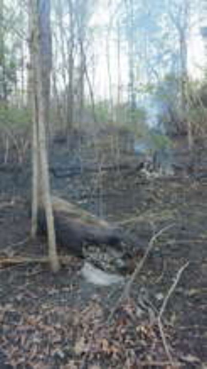 Мосты из пустоты