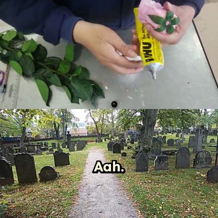 ¿Un Cementerio para Rosas?