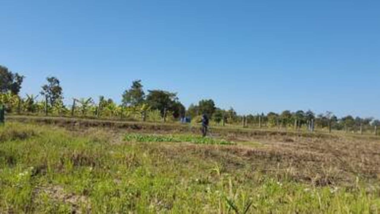 Parker's High-Stakes Gold Rush