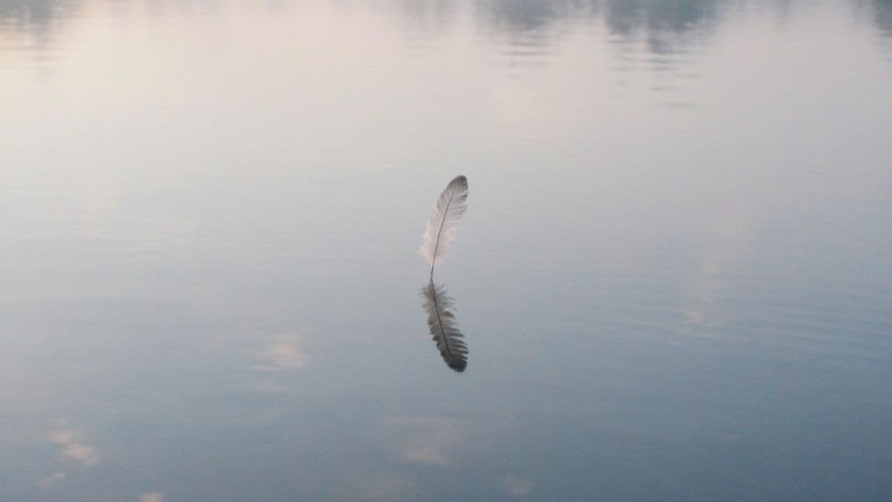 Le vent sous mes ailes