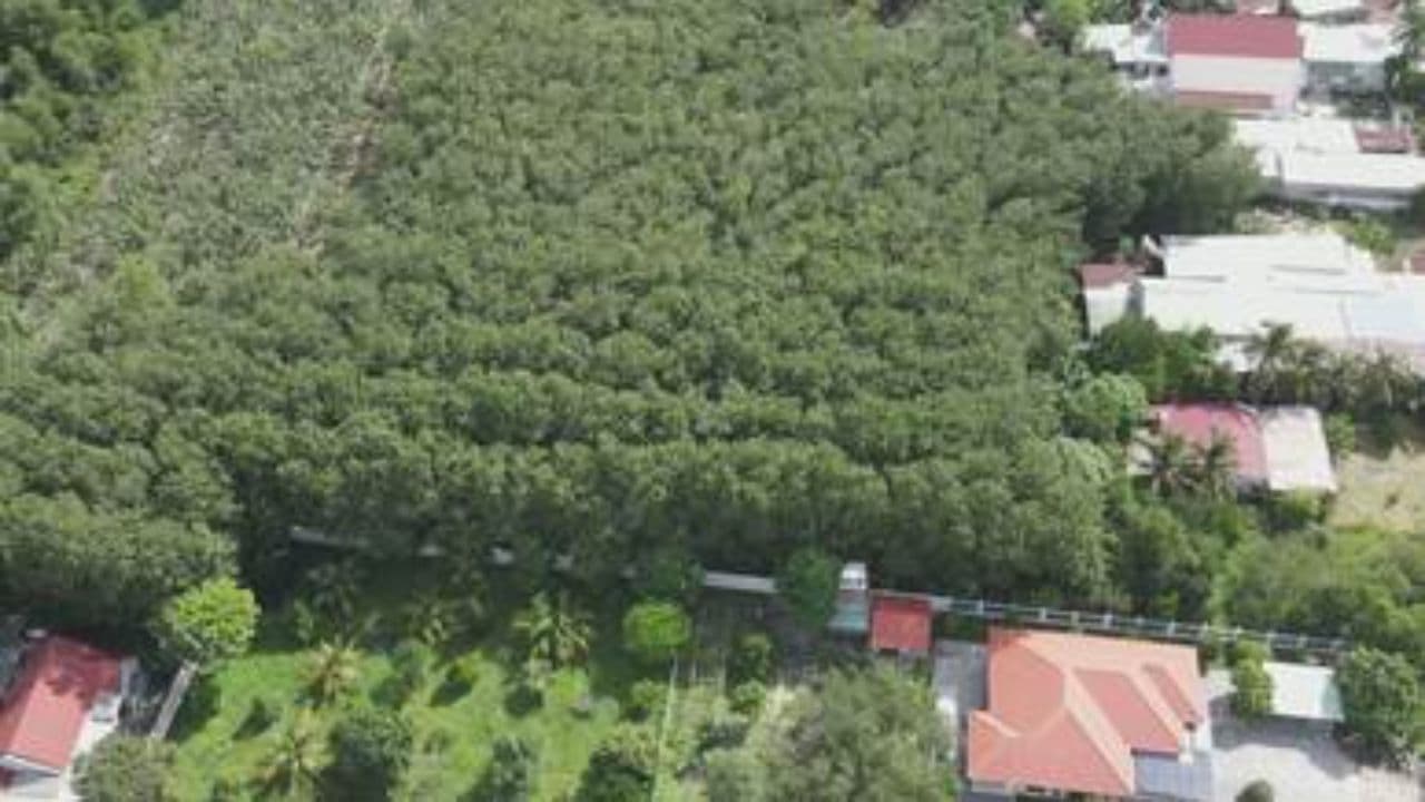 Башкирия: Самогонный рай