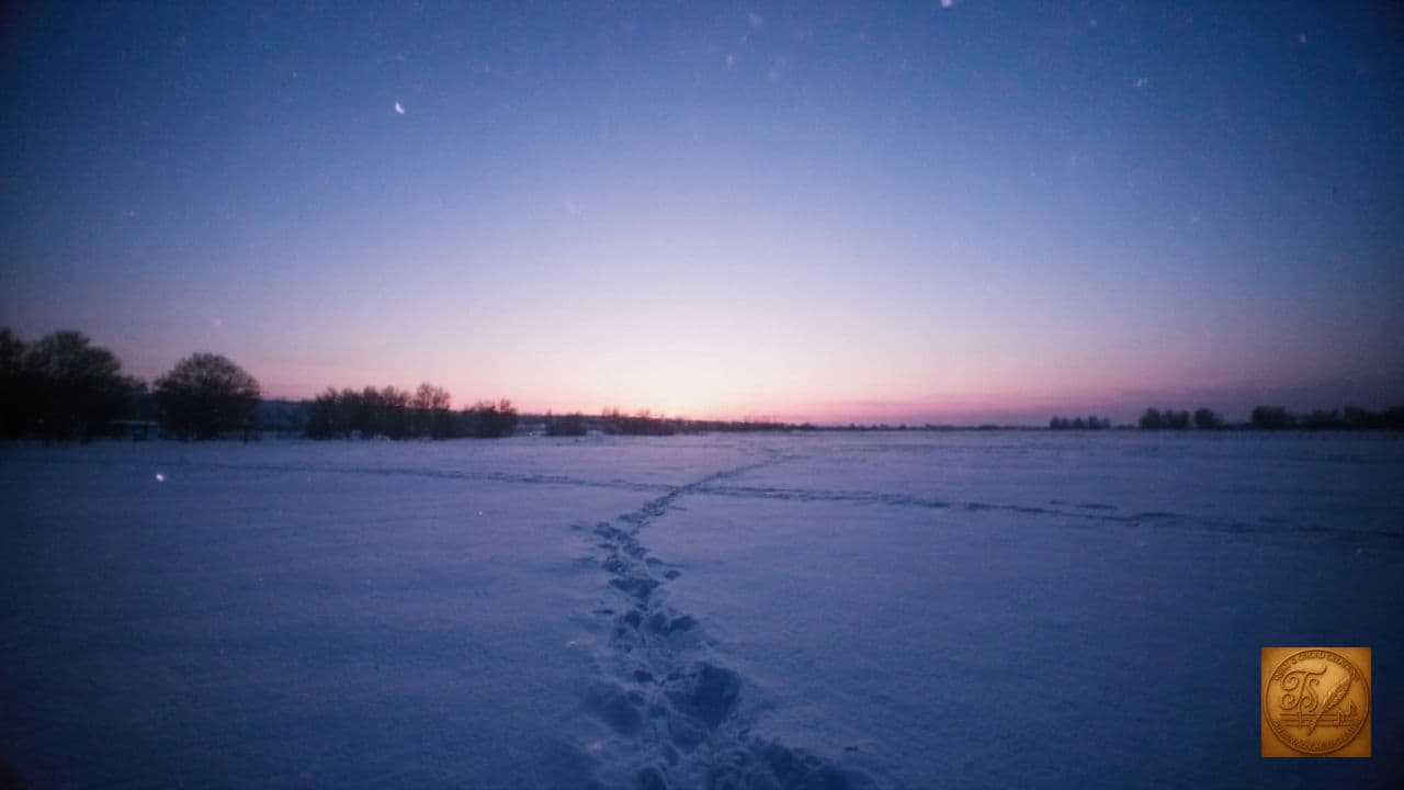 Faith, Family, Freedom Christmas