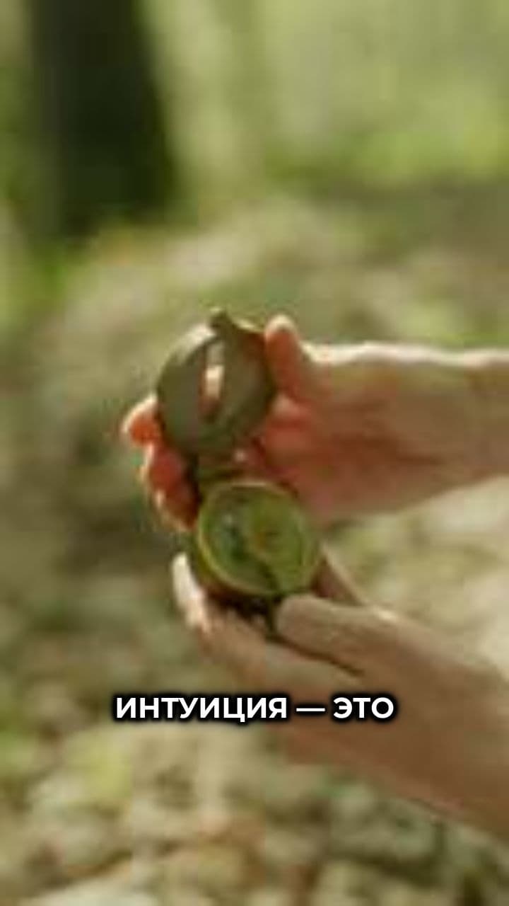 Сильная интуиция знаков зодиака