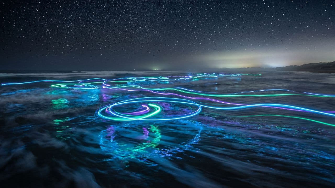 Noche de fiesta en la costa