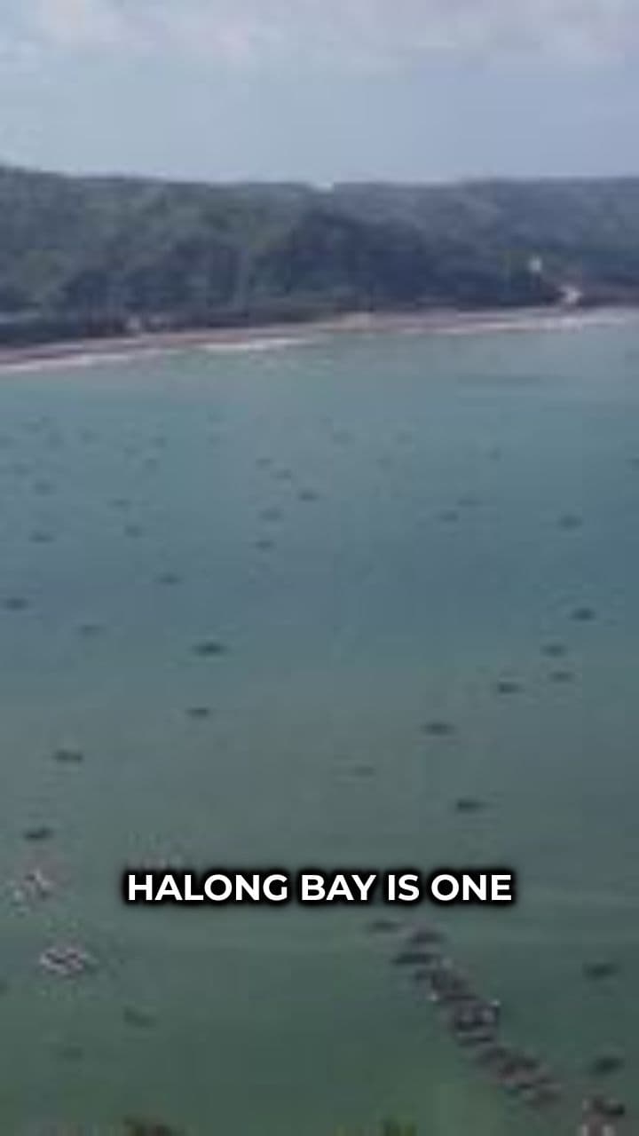 Halong Bay: Vietnam’s Emerald Wonder