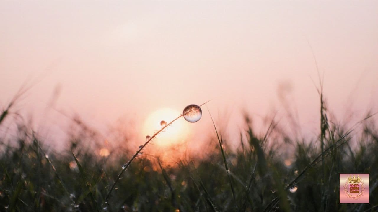 Jehovah, Elohim, Adonai: My Song of Praise