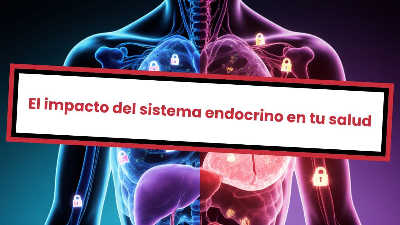El impacto del sistema endocrino en tu salud