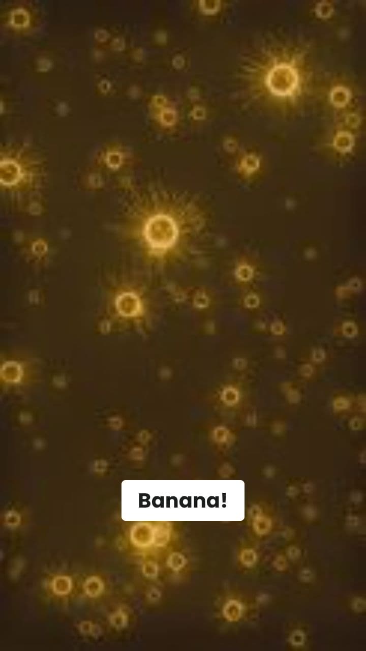 Brainrot Kaos Italiano