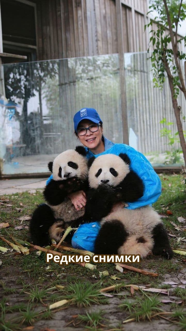 Уникальные традиции и фестивали мира