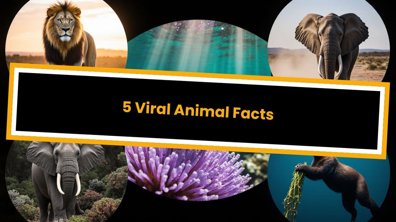 5 Viral Animal Facts