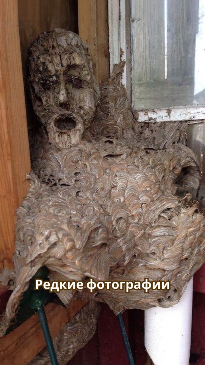 Редкие и шокирующие фотографии природы