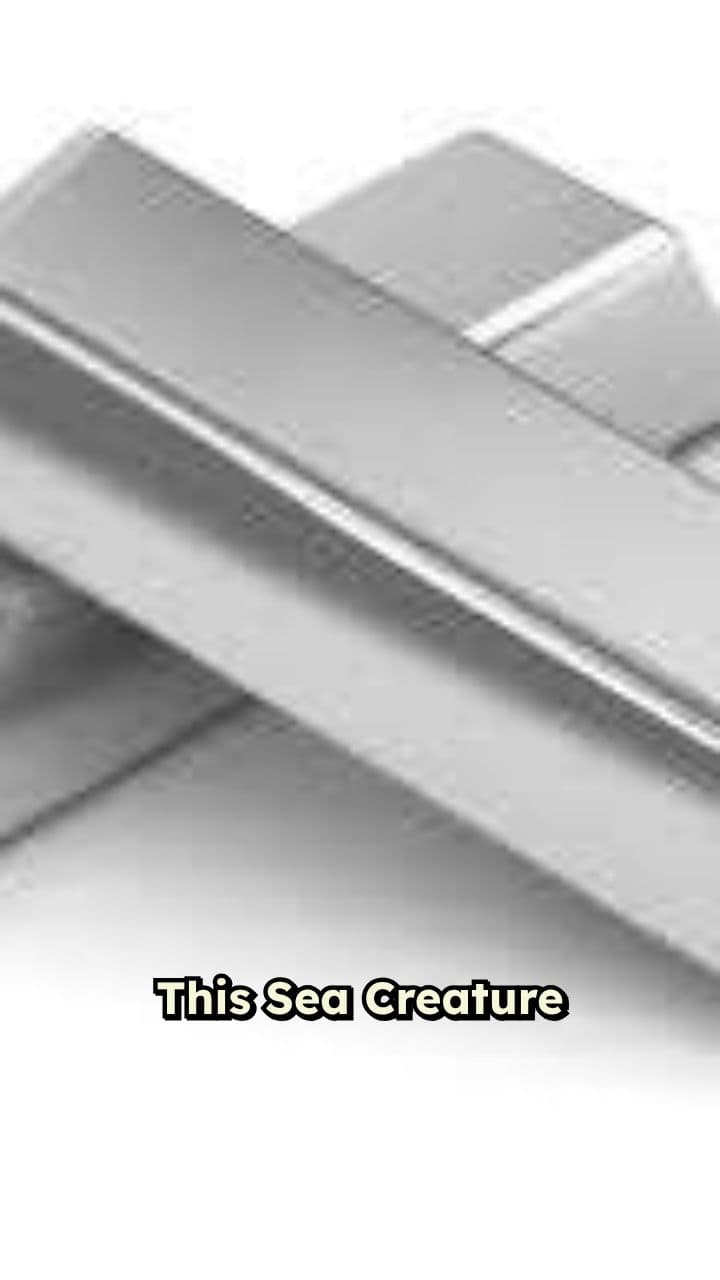 Pistol Shrimp: Nature's Super-Weapon