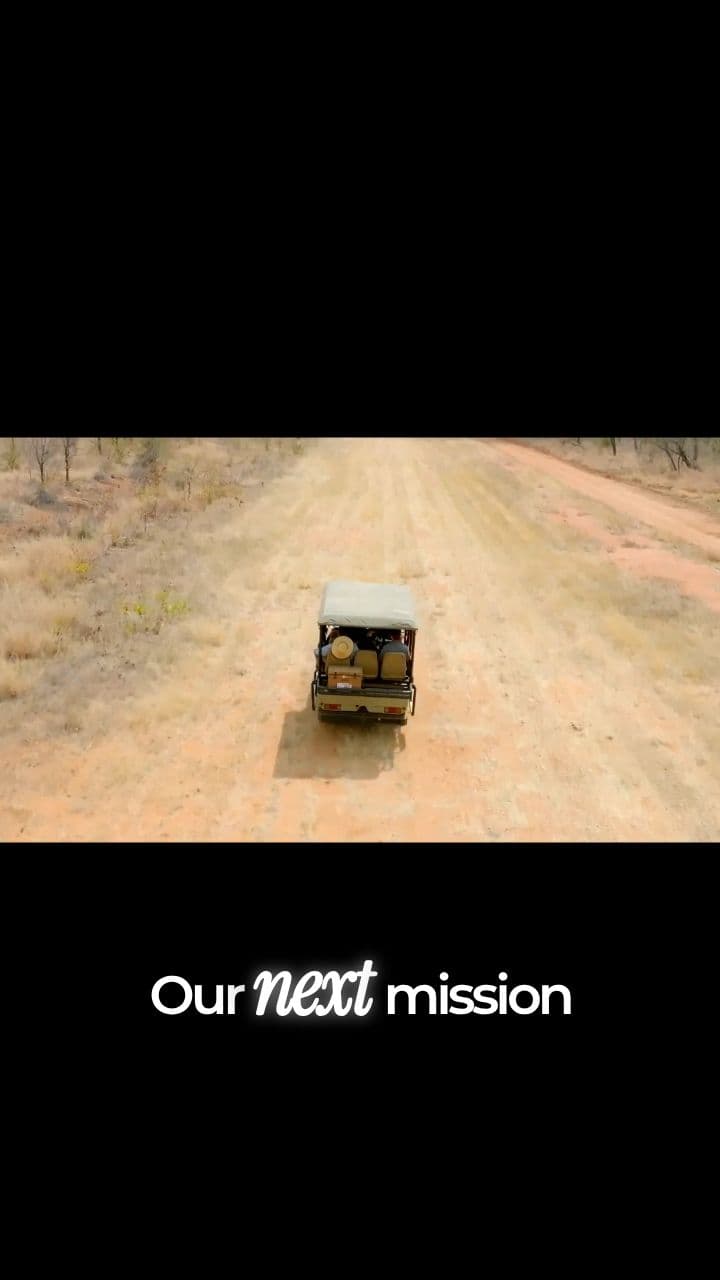 Rescuing Rhinos from a Helicopter