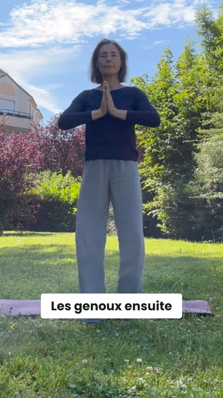 La posture du chat et du chien qui s'étire